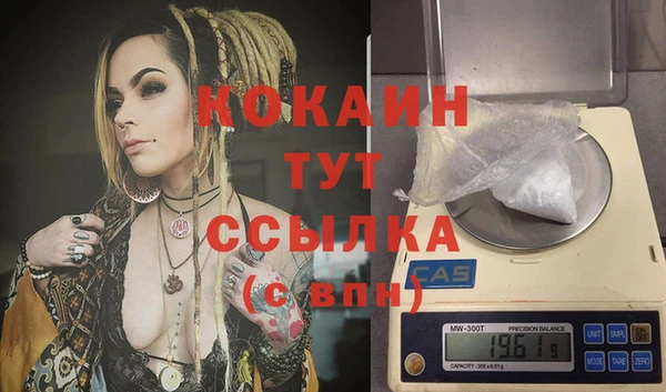 дживик Абинск