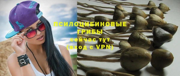 дживик Абинск